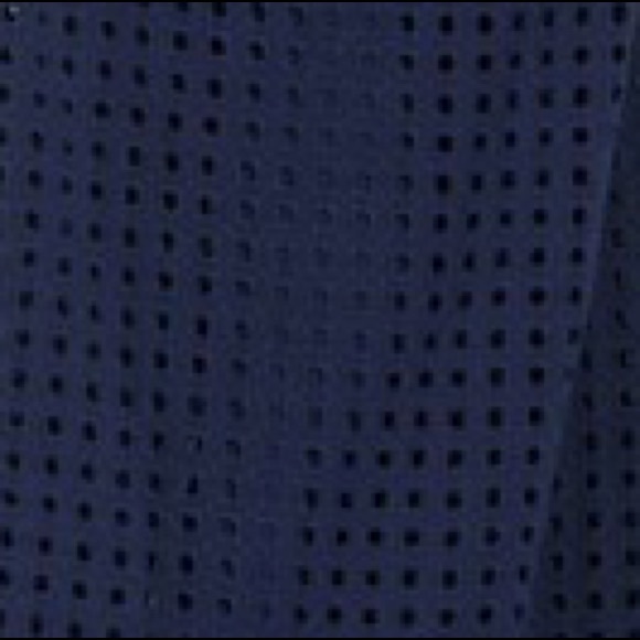 🔥🔥NWT ECHO Sheer Eyelet Midi Dress - Picture 6 of 15